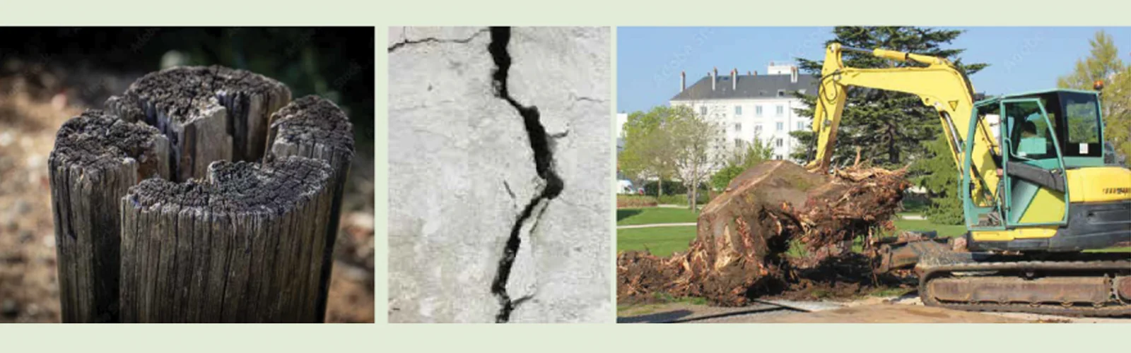 Machine de dessouchage en intervention dans un jardin