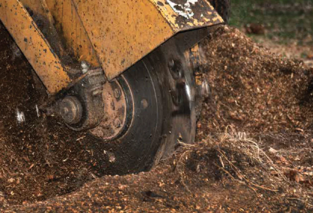 Rogneuse Arb Audou en travail sur une souche